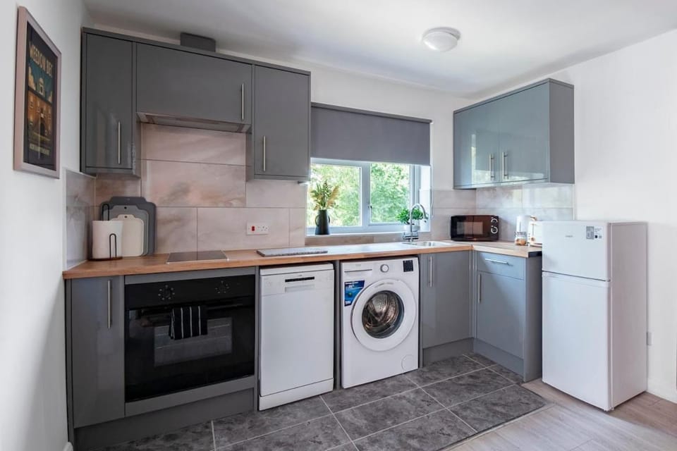 Kitchen or kitchenette, dishwasher, oven, toaster, washing machine