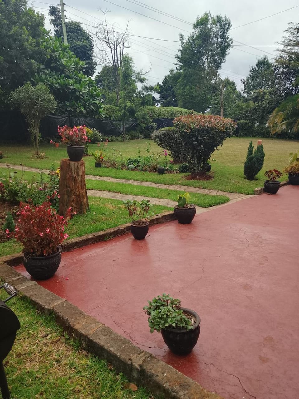 Garden view