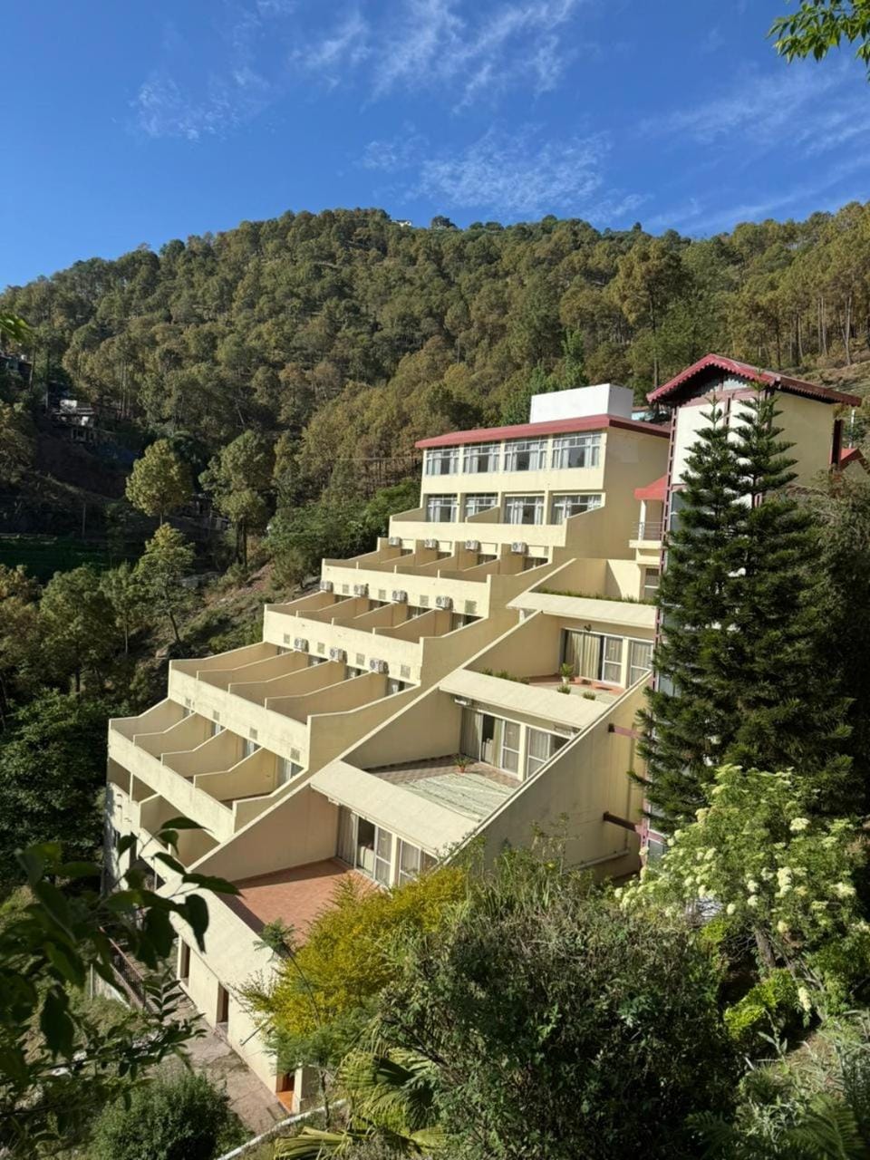 Misty Meadows Hotel in Himachal Pradesh