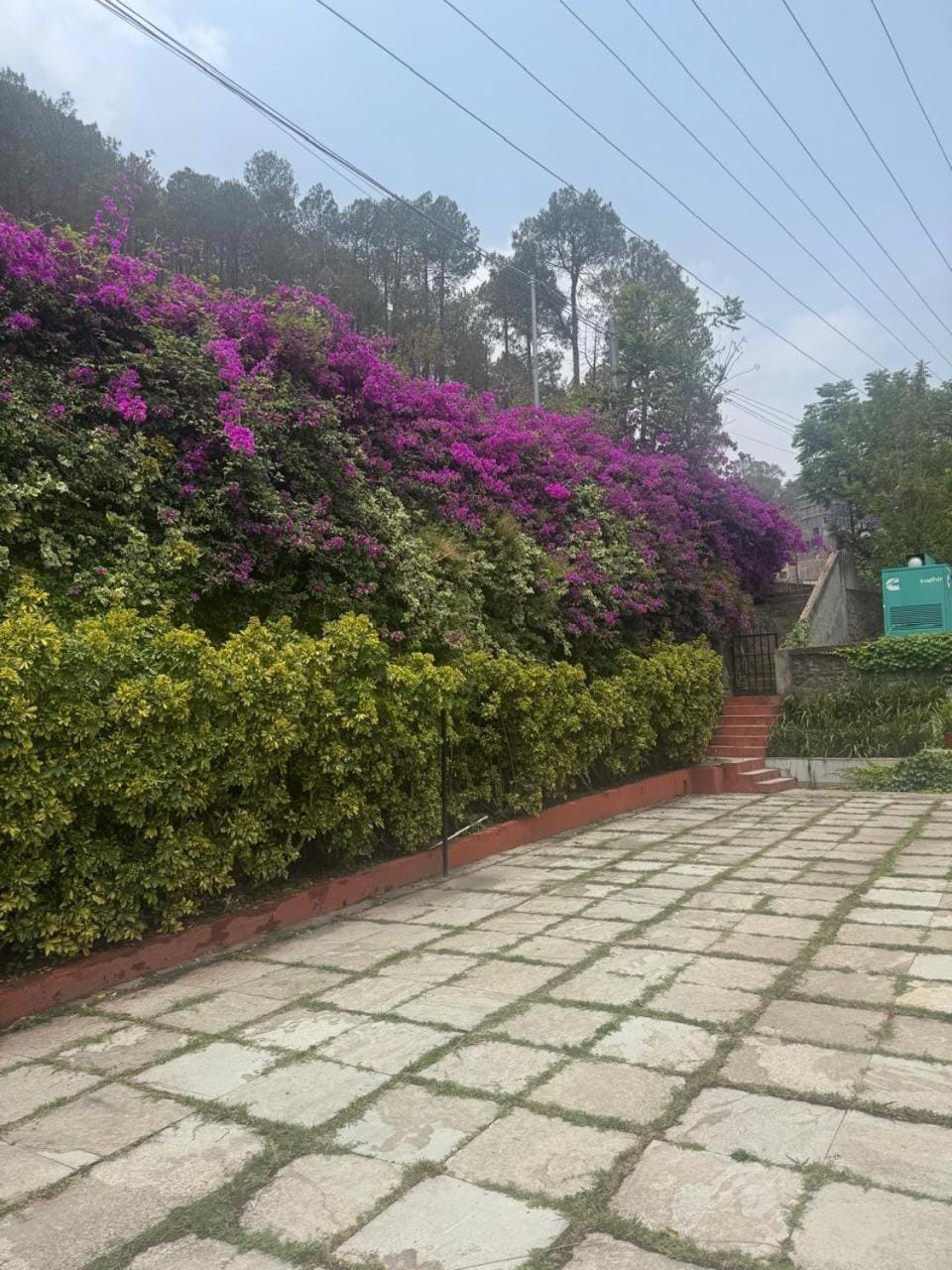 Misty Meadows Hotel in Himachal Pradesh