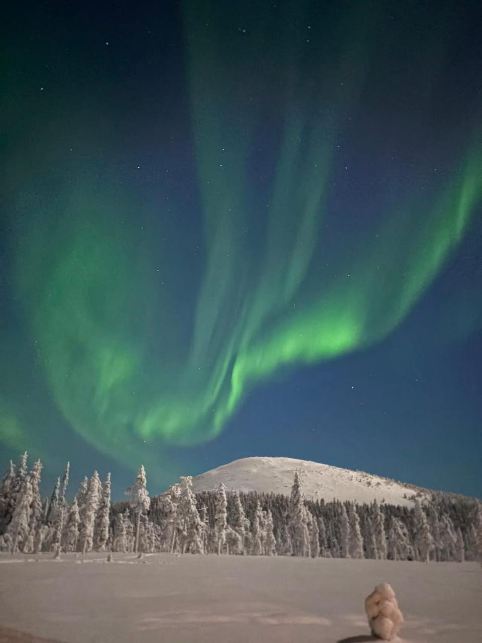 Natural landscape