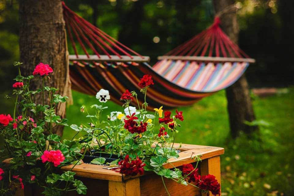 Day, Garden, Garden view