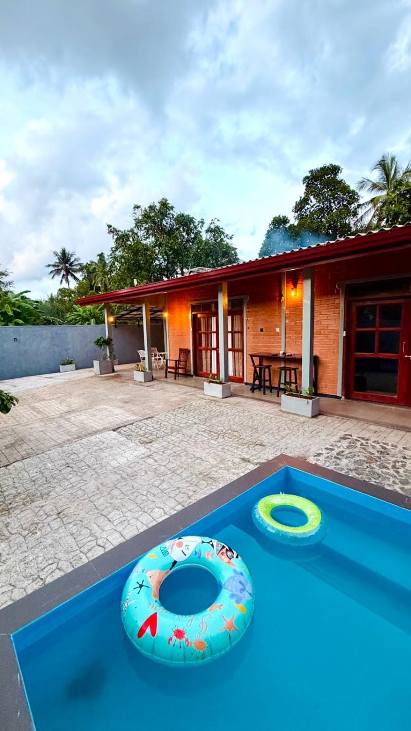 Day, Garden, Swimming pool