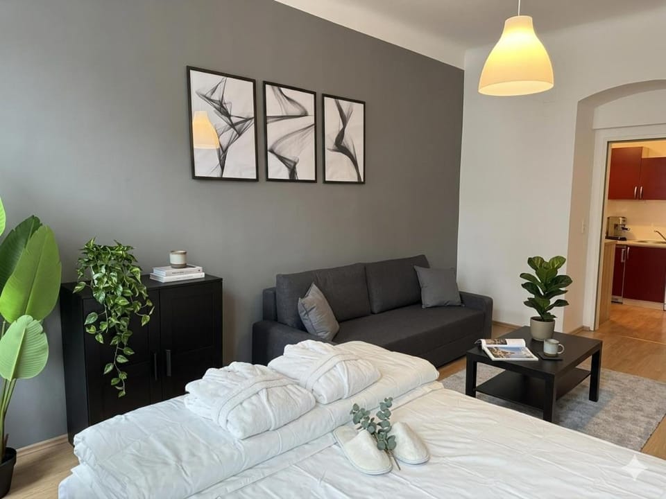 Studio, central, Prater, Schwedenplatz Apartment in Vienna