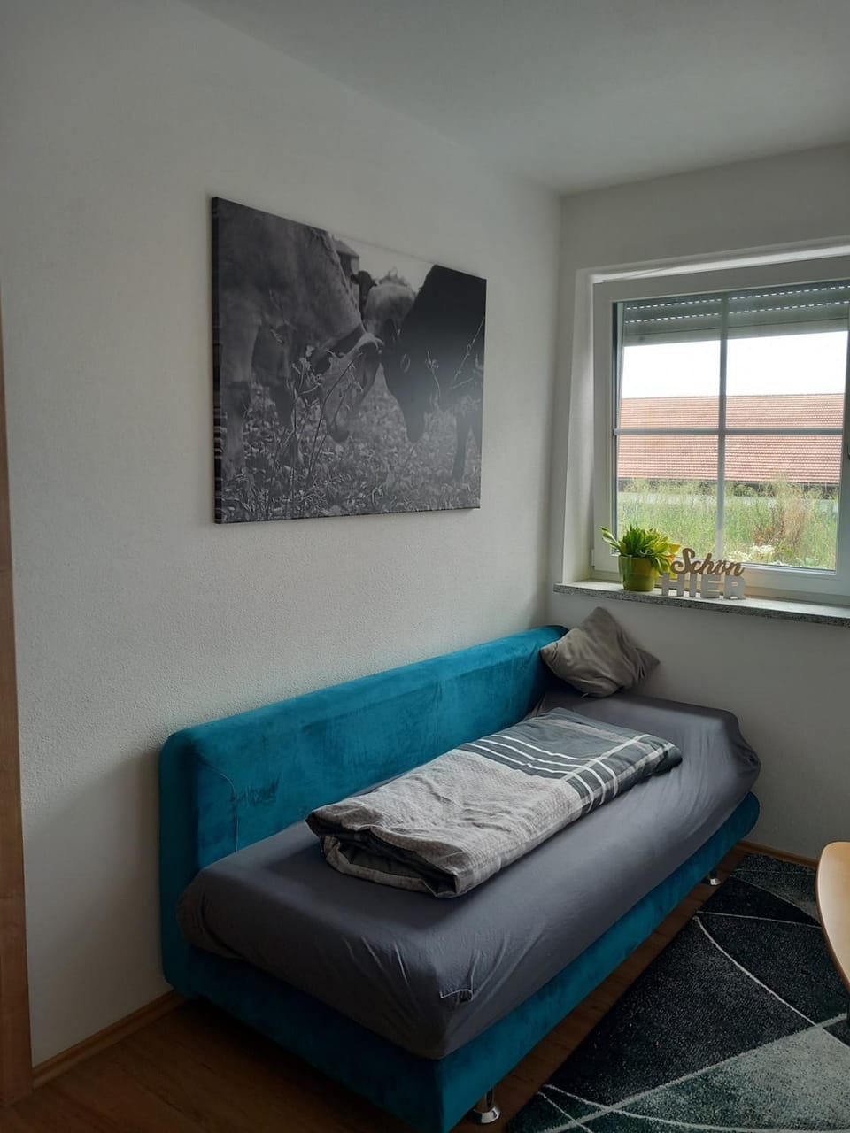 Bed, Living room