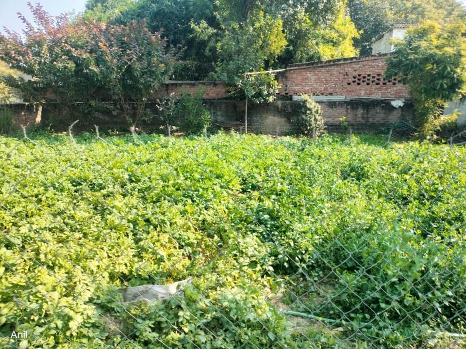 Shiv Kuti Homestay Vacation rental in Uttar Pradesh