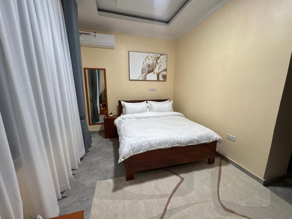 Apaluva Home 1BHK Apartment in Tanzania