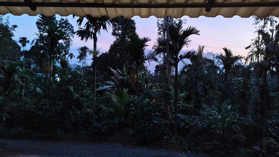 Natural landscape, Sunset