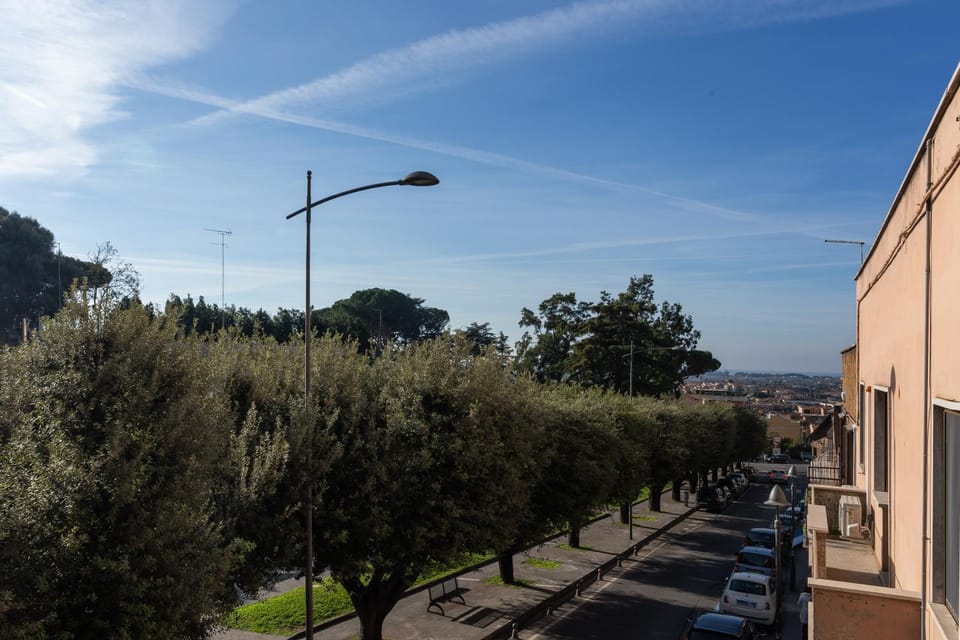 City view, Garden view, Street view