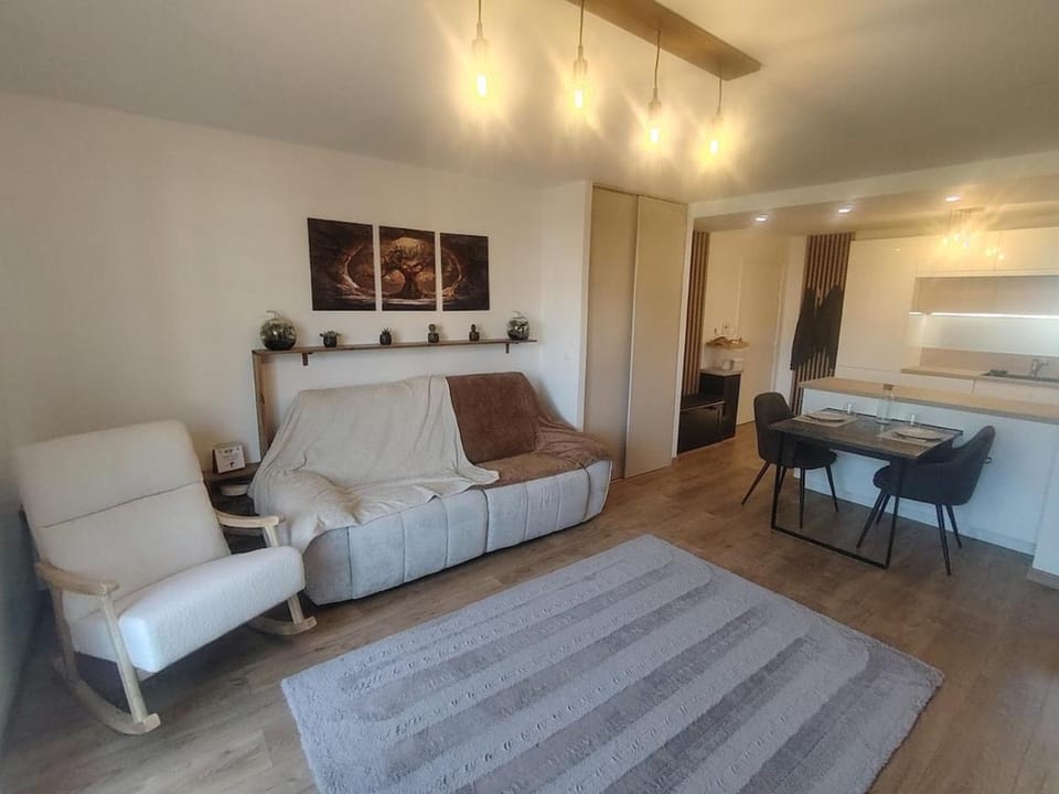 T3 Balnéo, Relax et Plancha & parking Toulouse Apartment in Toulouse