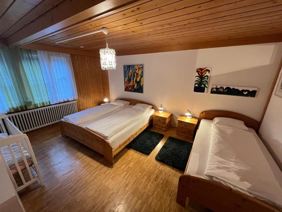 Dream apartment on Lake Brienz Apartment in Canton of Bern (Region)