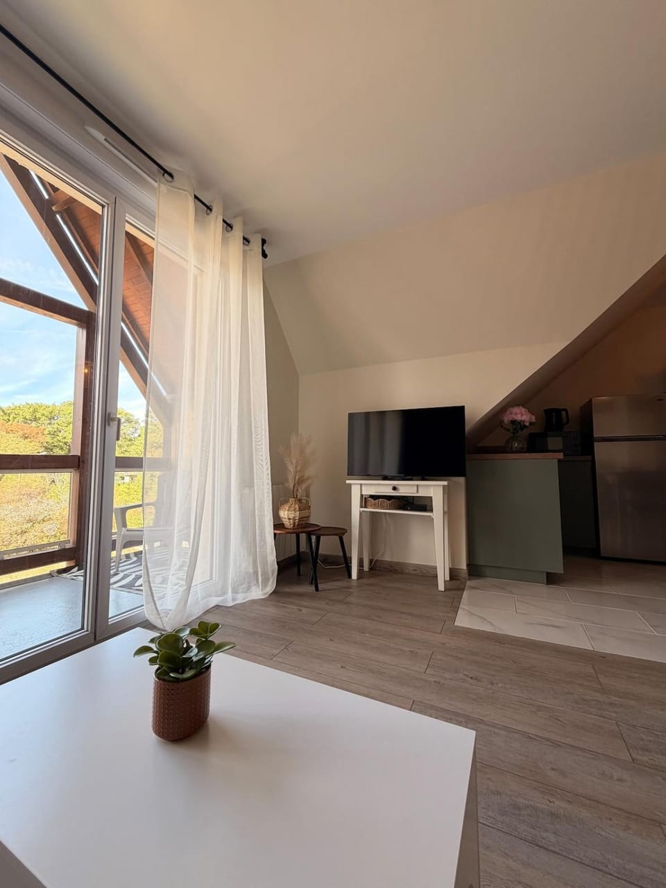Le Cocon du Plessis, pool and parking Apartment in Blois