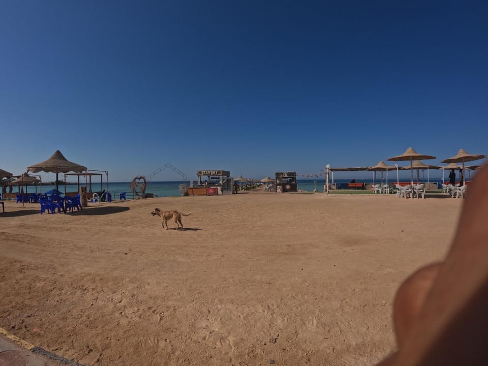 Hurghada and Fun Apartment in Egypt