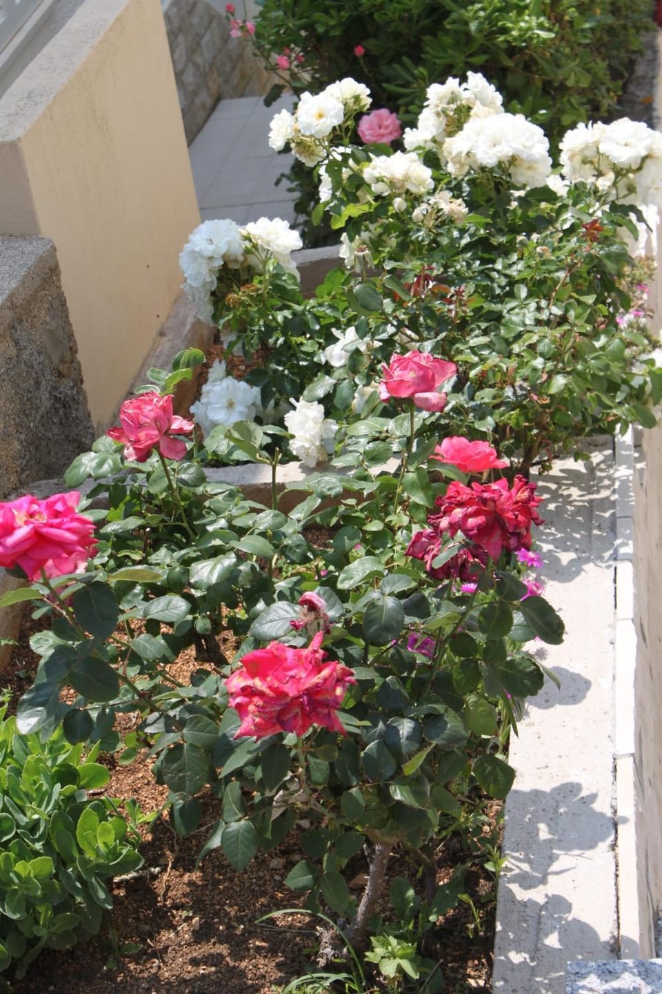 Location, children, Family