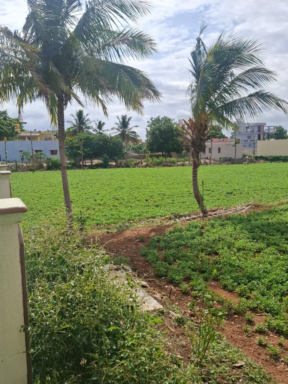 Home stay near puttaparthi House in Andhra Pradesh