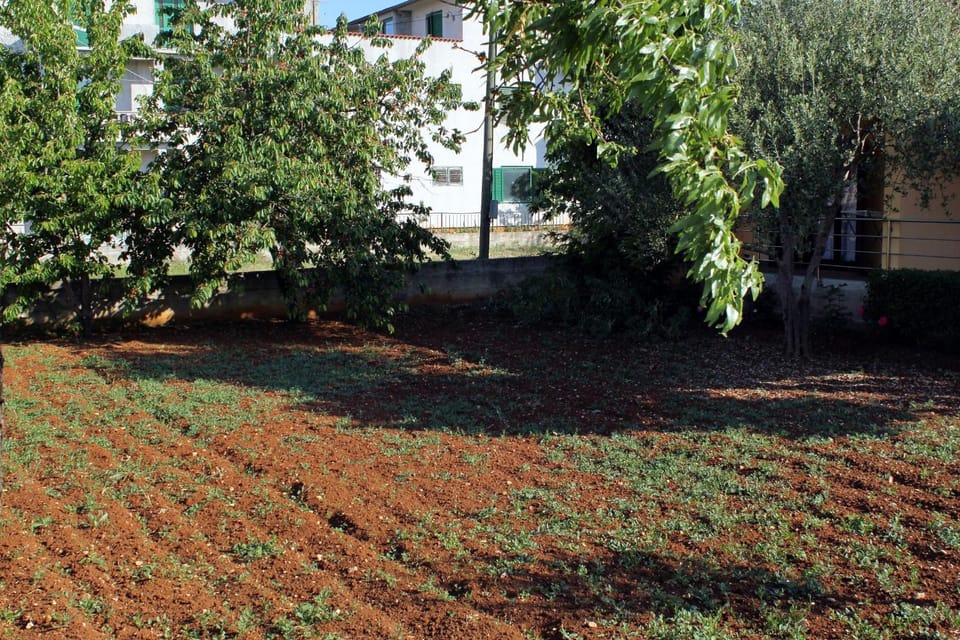 Location, children, Family