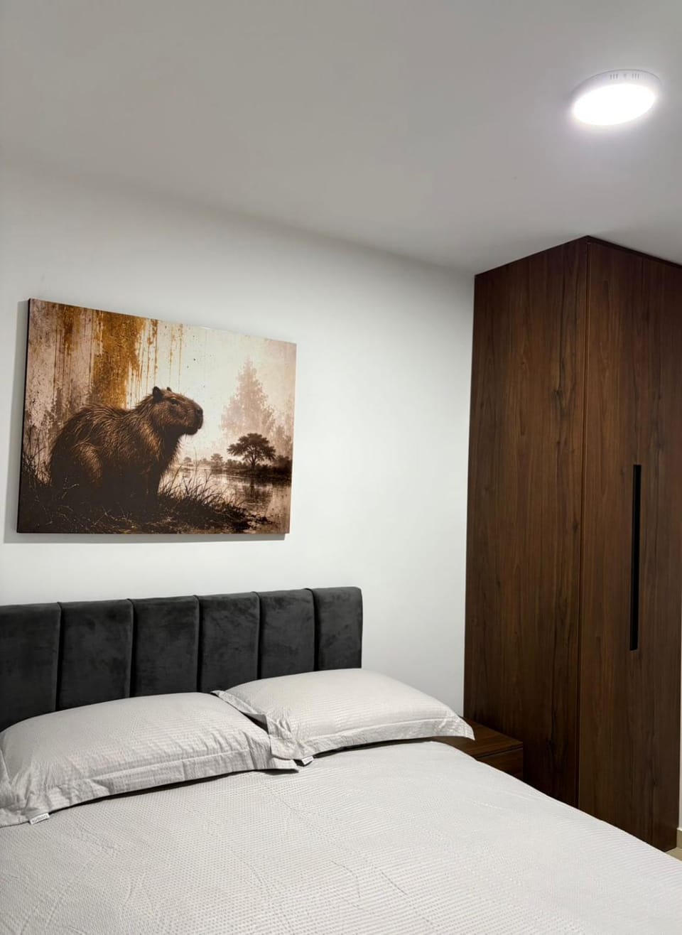 Bed, Photo of the whole room, Bedroom, wardrobe
