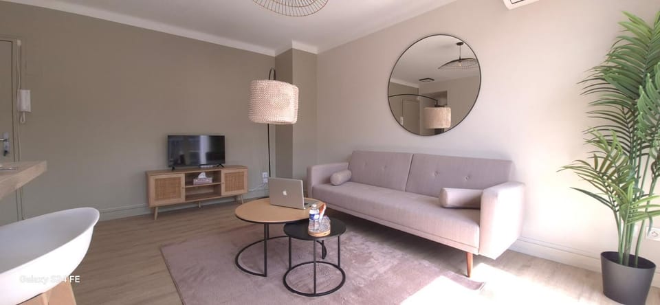 Le Petit Cocoon Toulousain T2 Climatisé Apartment in Toulouse