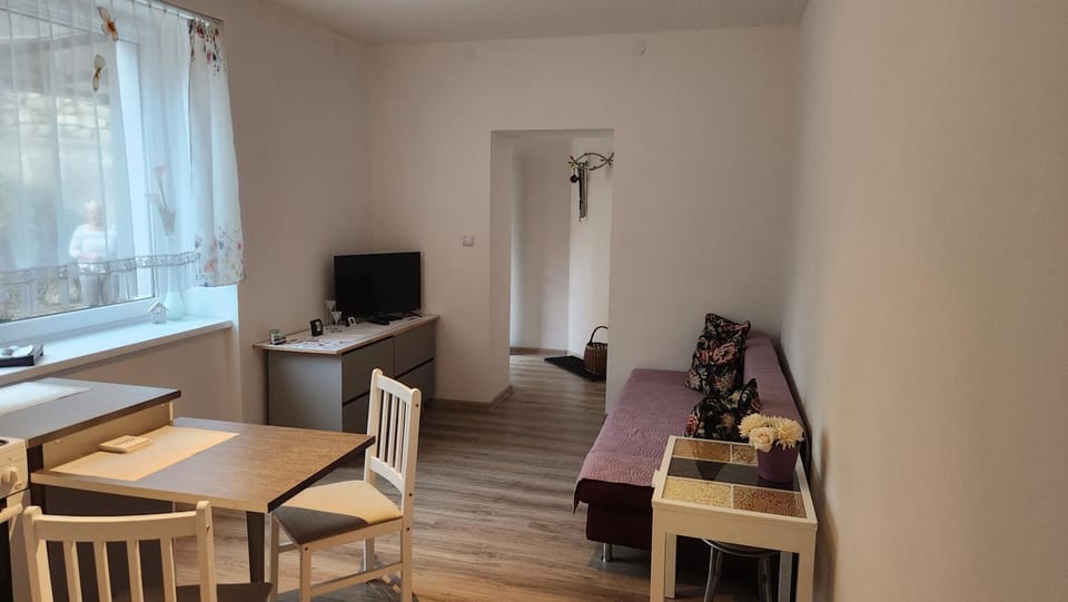 Hradišťská Apartment in South Moravian Region