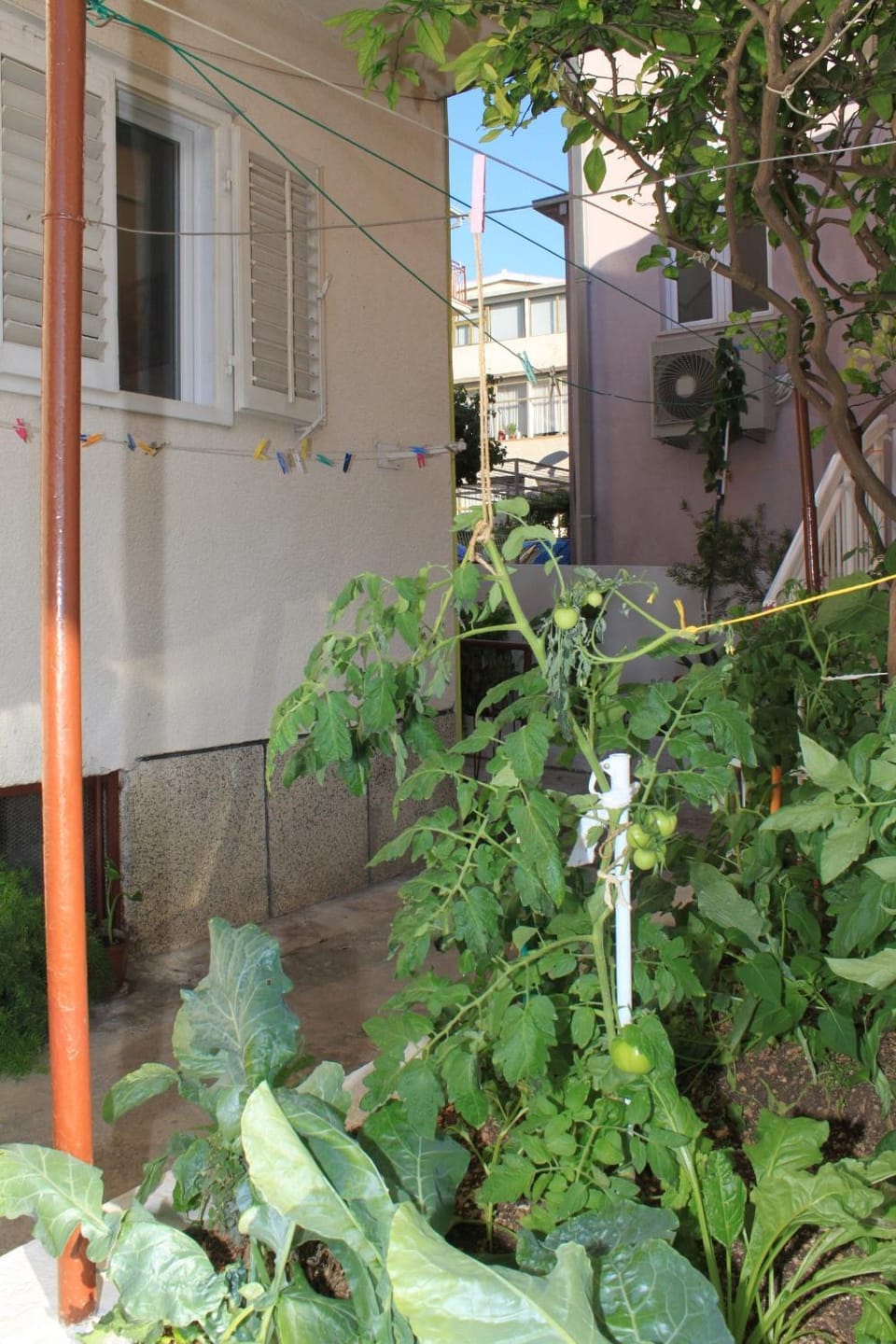 Location, children, Family