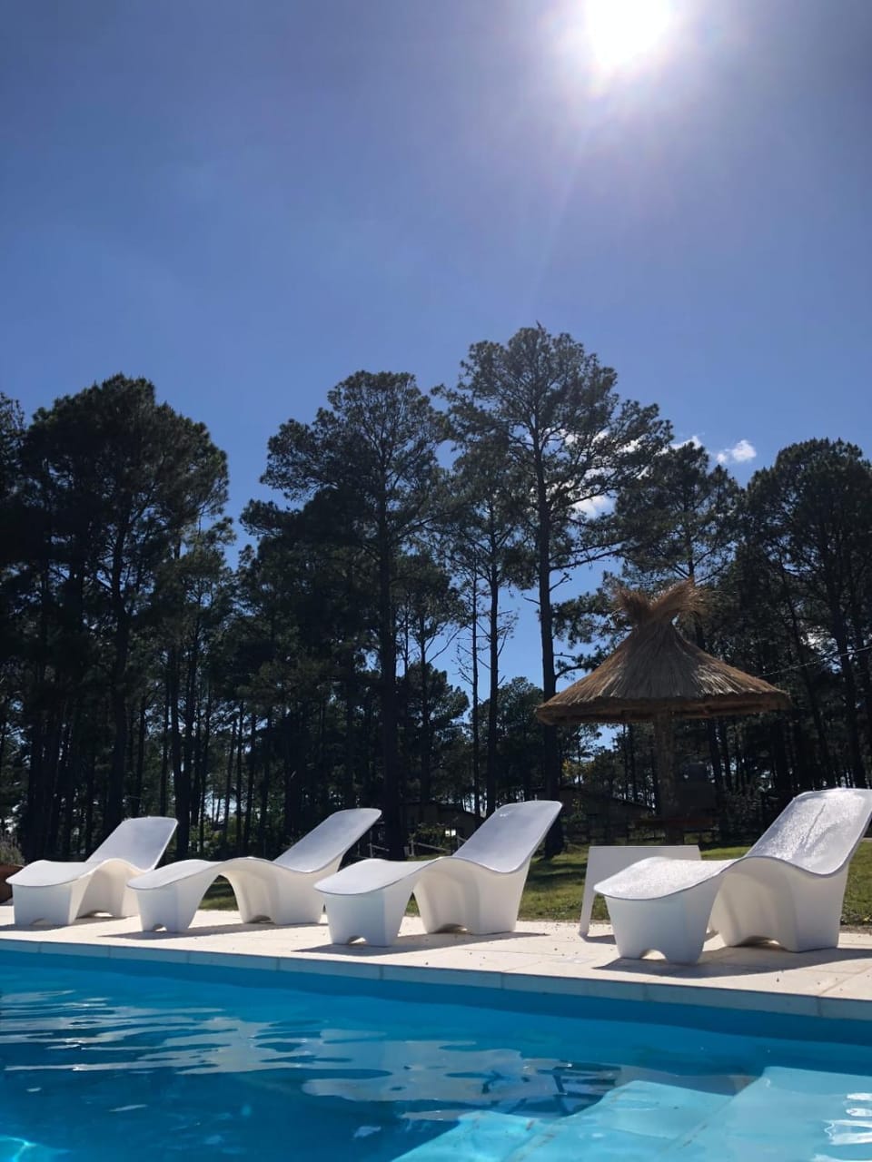 Natural landscape, Pool view, Swimming pool