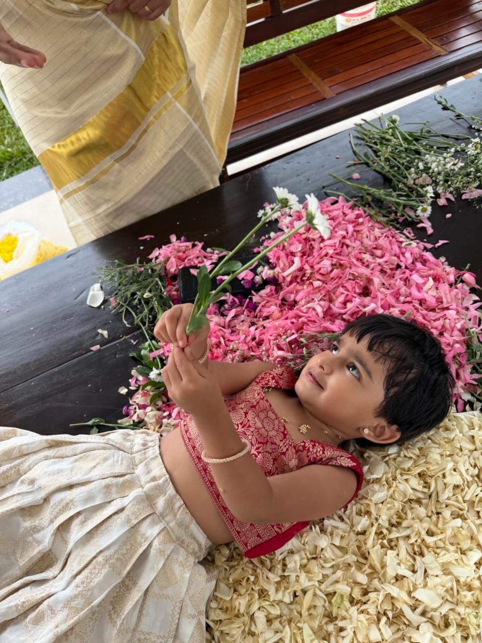 Vayal stays Bed and Breakfast in Kerala