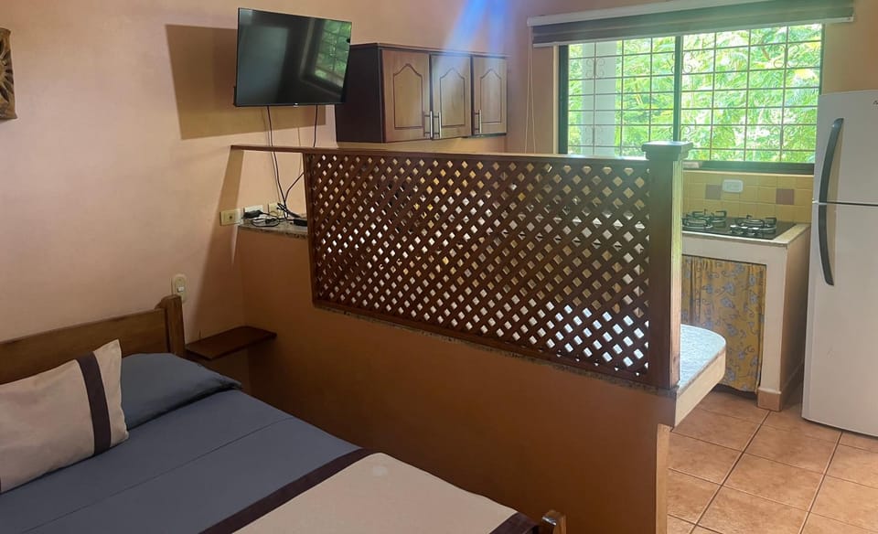 Bed, TV and multimedia, Kitchen or kitchenette, Photo of the whole room, Dining area, Bedroom, pet friendly, stove