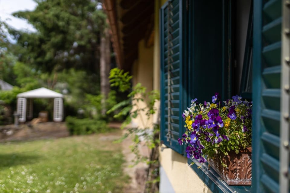 The Explorer's Lodge - Kalandor Vendégház Apartment in Hungary