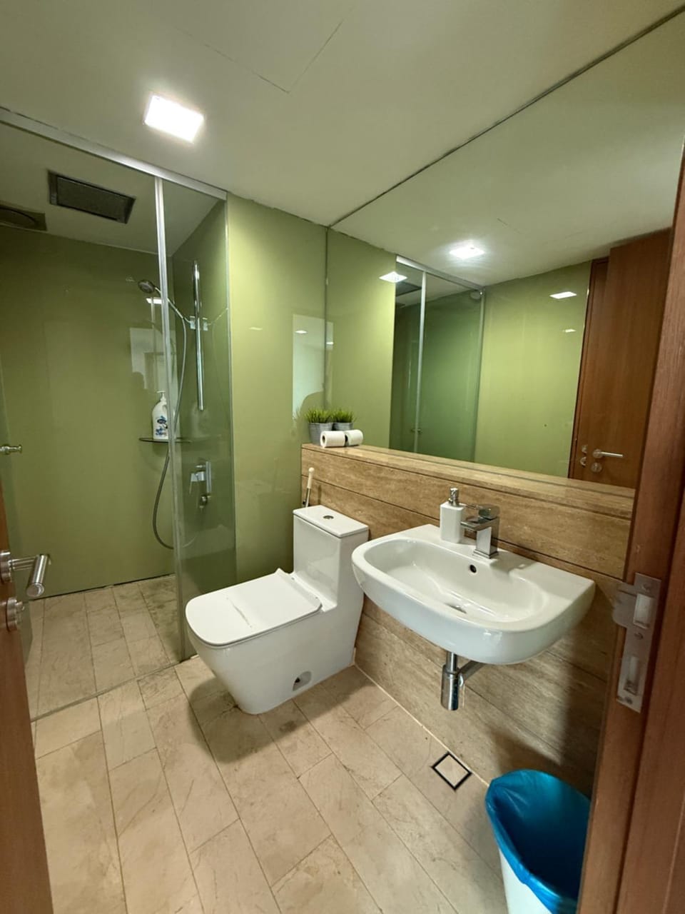 Bath, bidet, towels