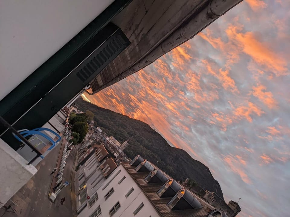 VENUE DU PAPE - Appartement à 3 min des Sanctuaires - Vue Basilique Château & Pyrénées - Tout compris Apartment in Lourdes