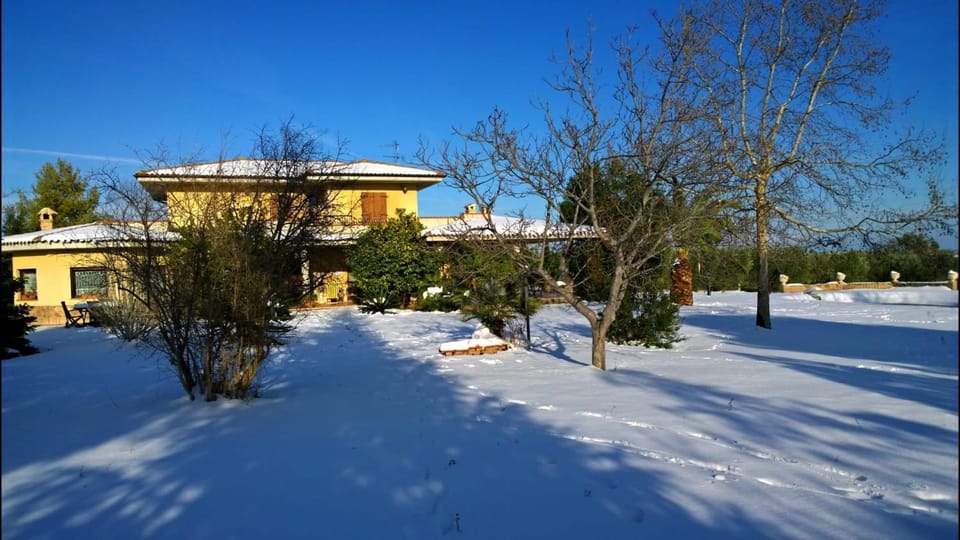 Domus aurea, tra mare e ulivi House in Abruzzo