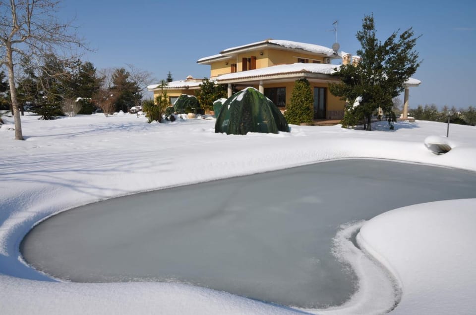 Domus aurea, tra mare e ulivi House in Abruzzo