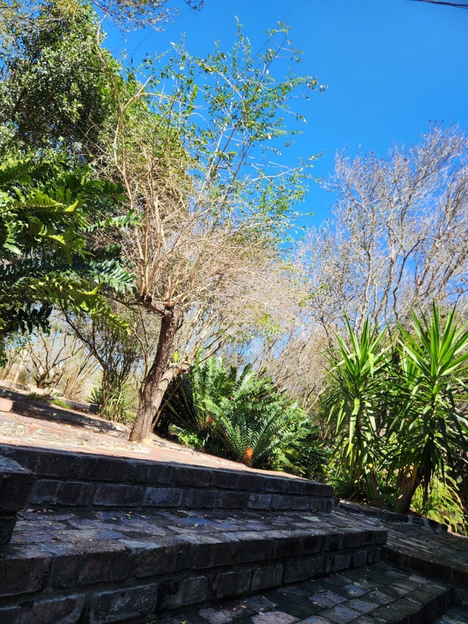 Natural landscape, Garden view