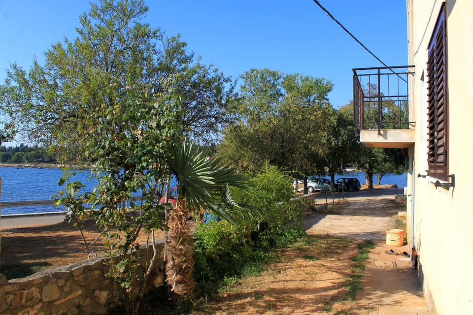 Location, children, Family