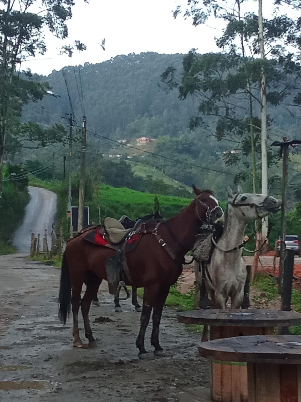 Finca La Menguate House in Caldas