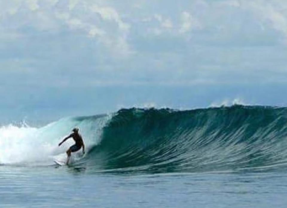 Telosforeshousesurf Vacation rental in Indonesia