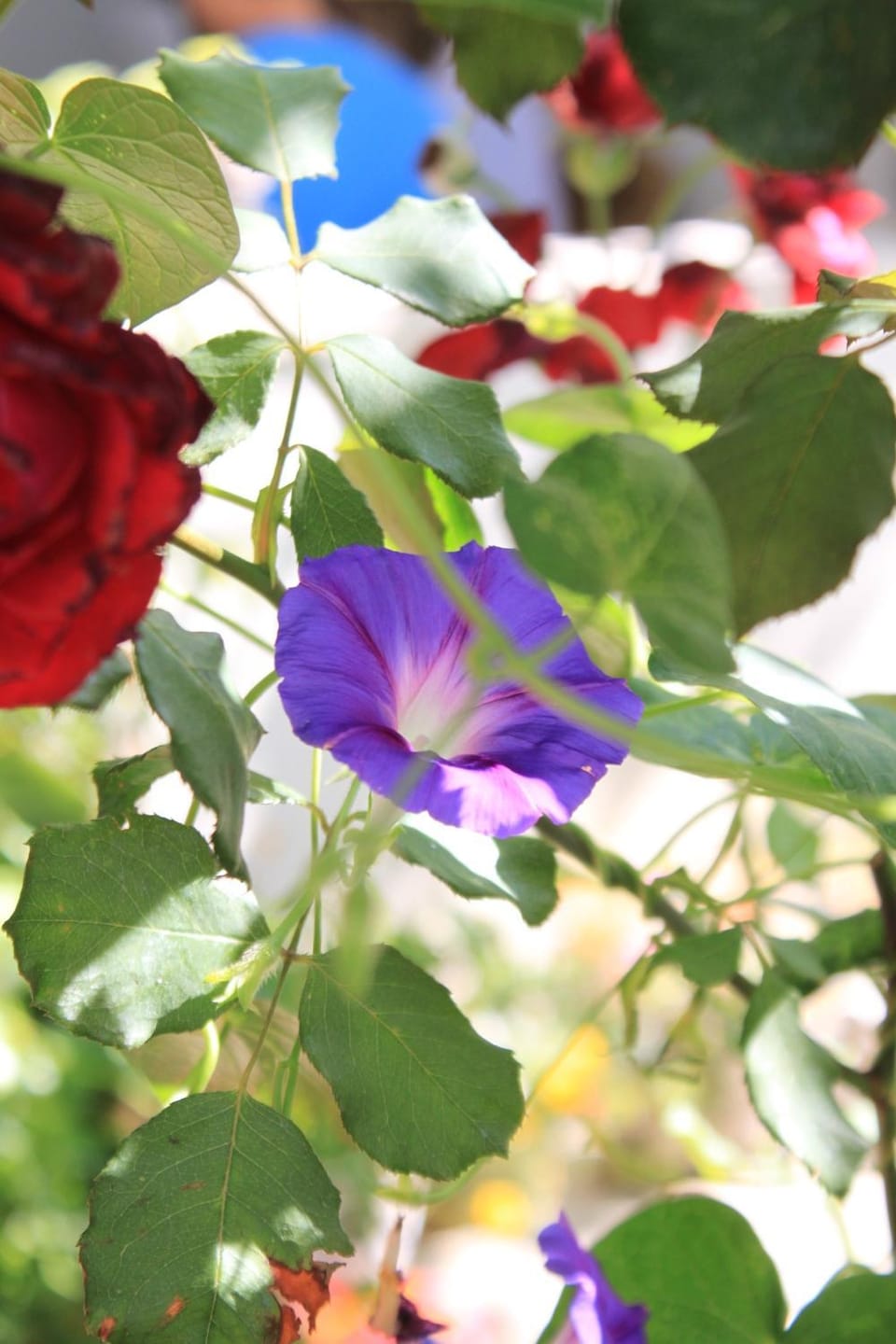 Location, children, Family