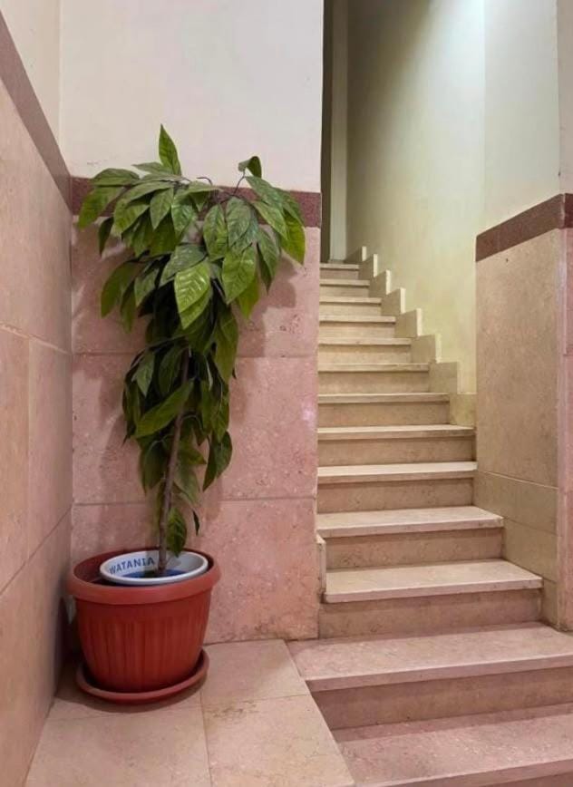 Luxor West Bank Apartments Apartment in Luxor