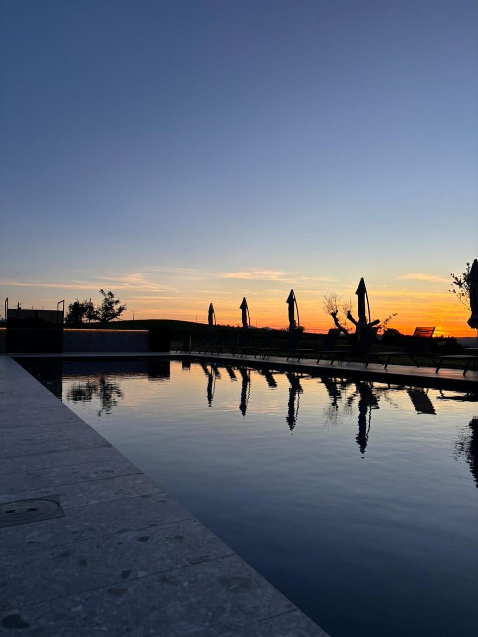 Food and drinks, Food, Swimming pool