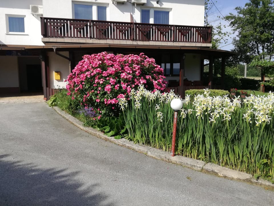 Garden, Garden view