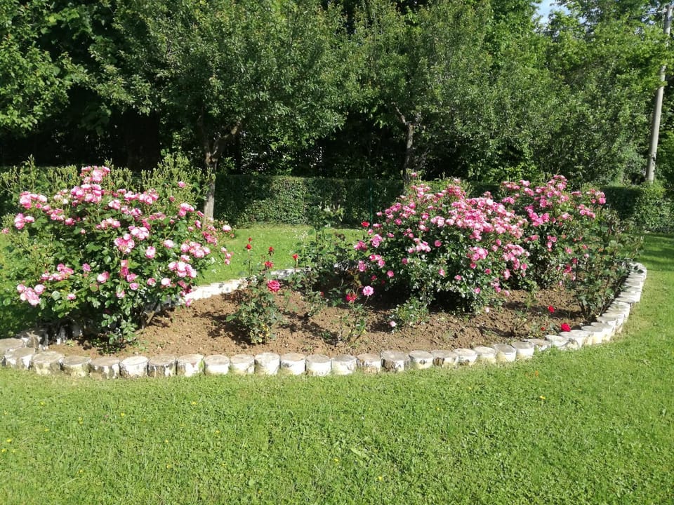 Day, Natural landscape, Garden view
