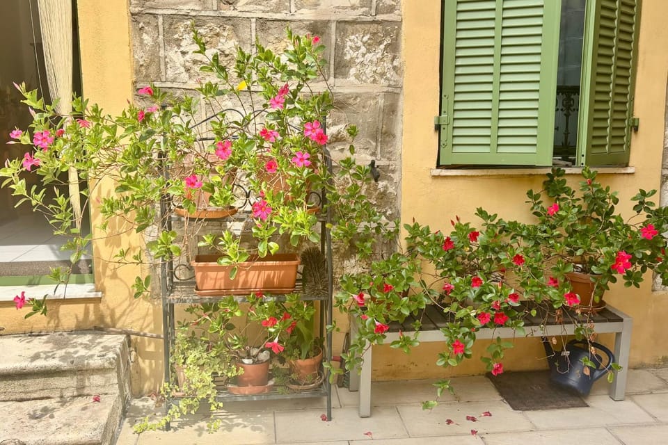 Libération a quiet and secure apartment Apartment in Nice