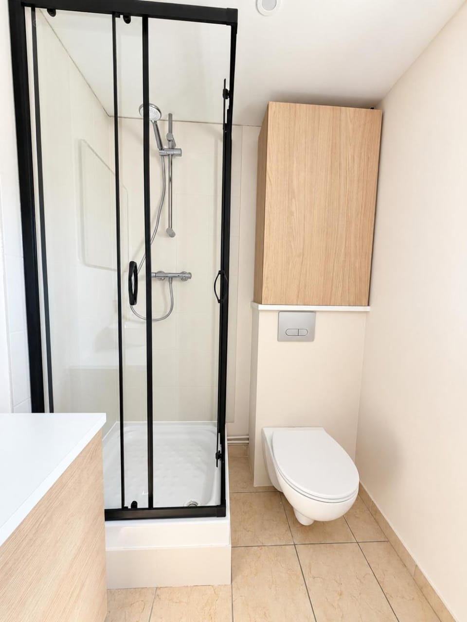 Shower, Toilet