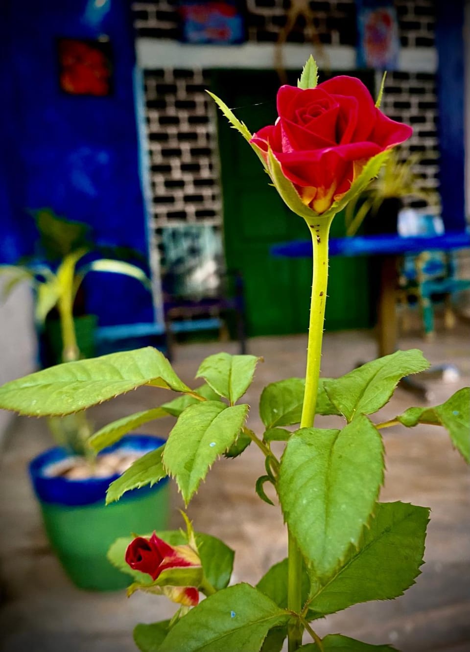 Castle of Love Hotel in Sri Lanka