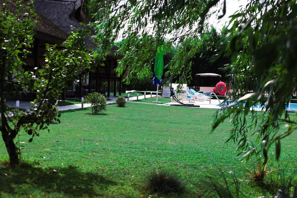 Day, Garden, Garden view, Pool view