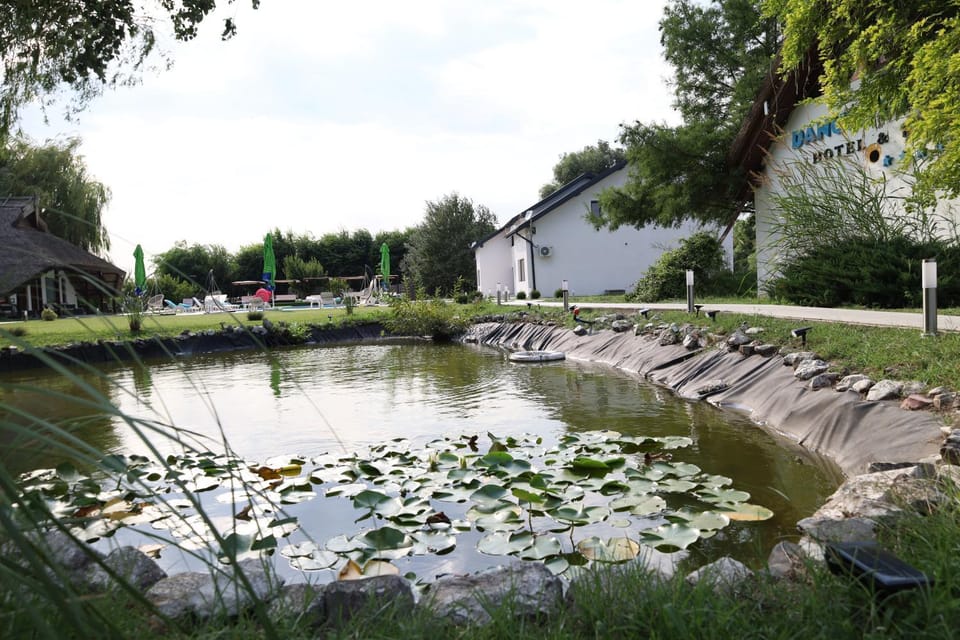 Day, Garden, Garden view, Lake view