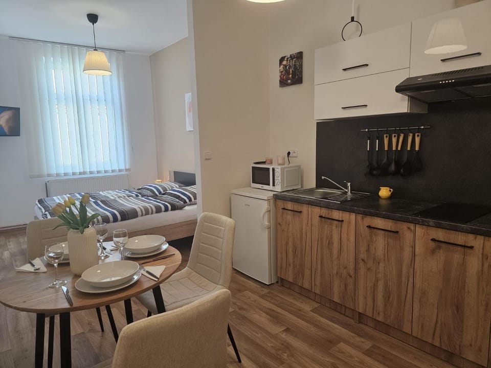 Studio Dvojka Klicperova Apartment in Czechia