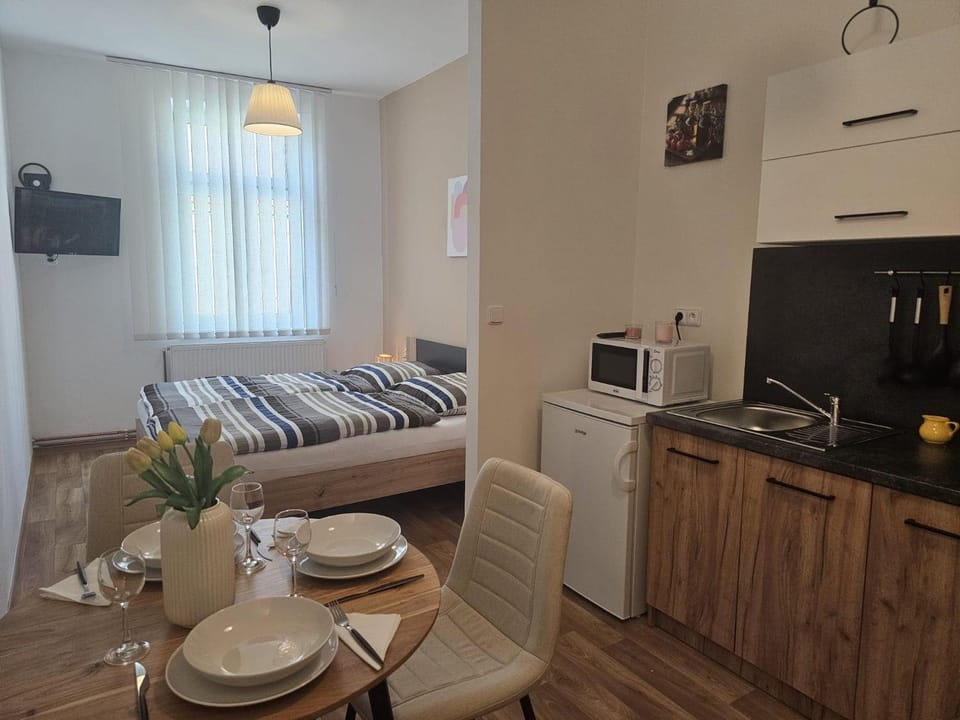 Studio Dvojka Klicperova Apartment in Czechia