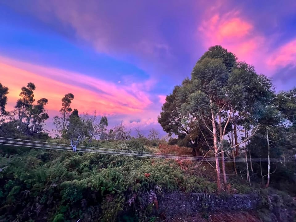 Natural landscape