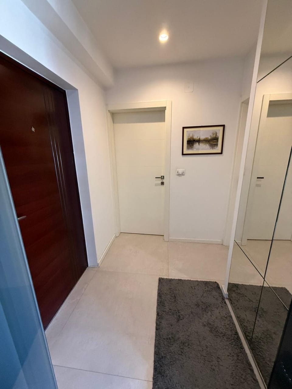 Srna Apartment in Serbia